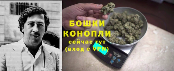 СК Дмитров
