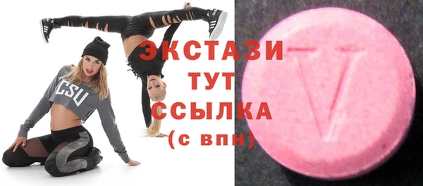СК Дмитров