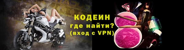 индика Дмитровск