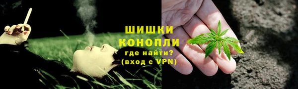 индика Дмитровск