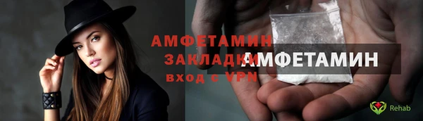 индика Дмитровск