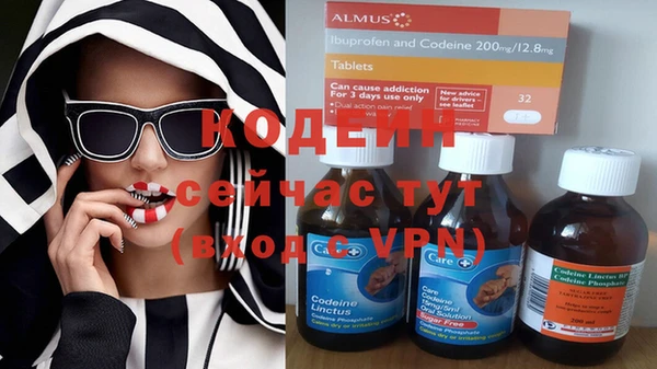 индика Дмитровск