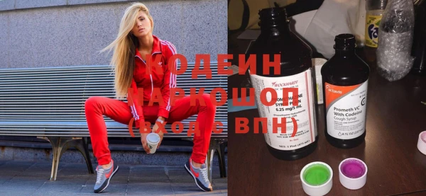 индика Дмитровск