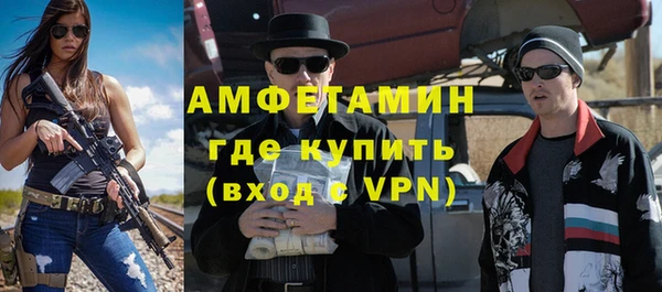 индика Дмитровск