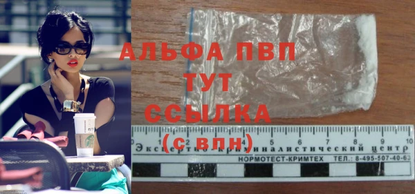 индика Дмитровск