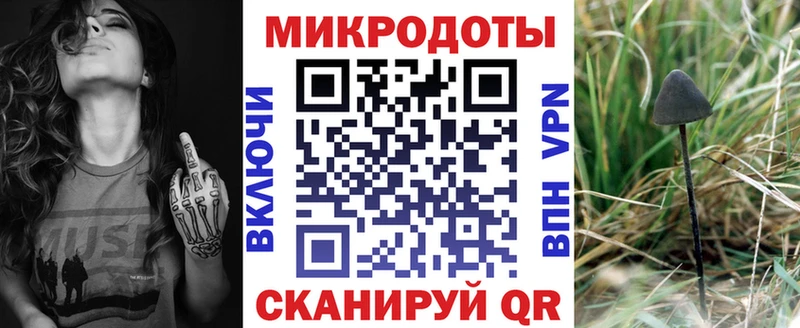 ОМГ ОМГ как войти  Усть-Илимск  Псилоцибиновые грибы Psilocybine cubensis 