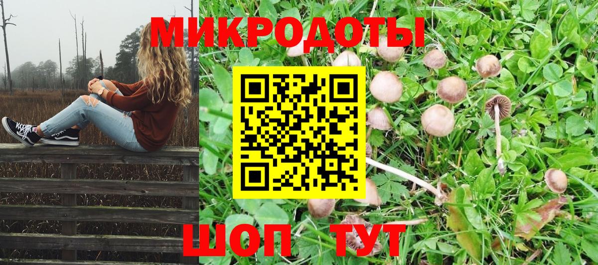 Усть-Илимск  Псилоцибиновые грибы GOLDEN TEACHER  Вход с VPN 